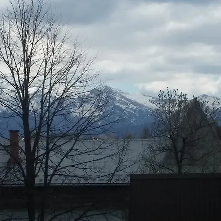 民宿 Nedzowka 扎布